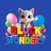 Block Puzzle Wonders