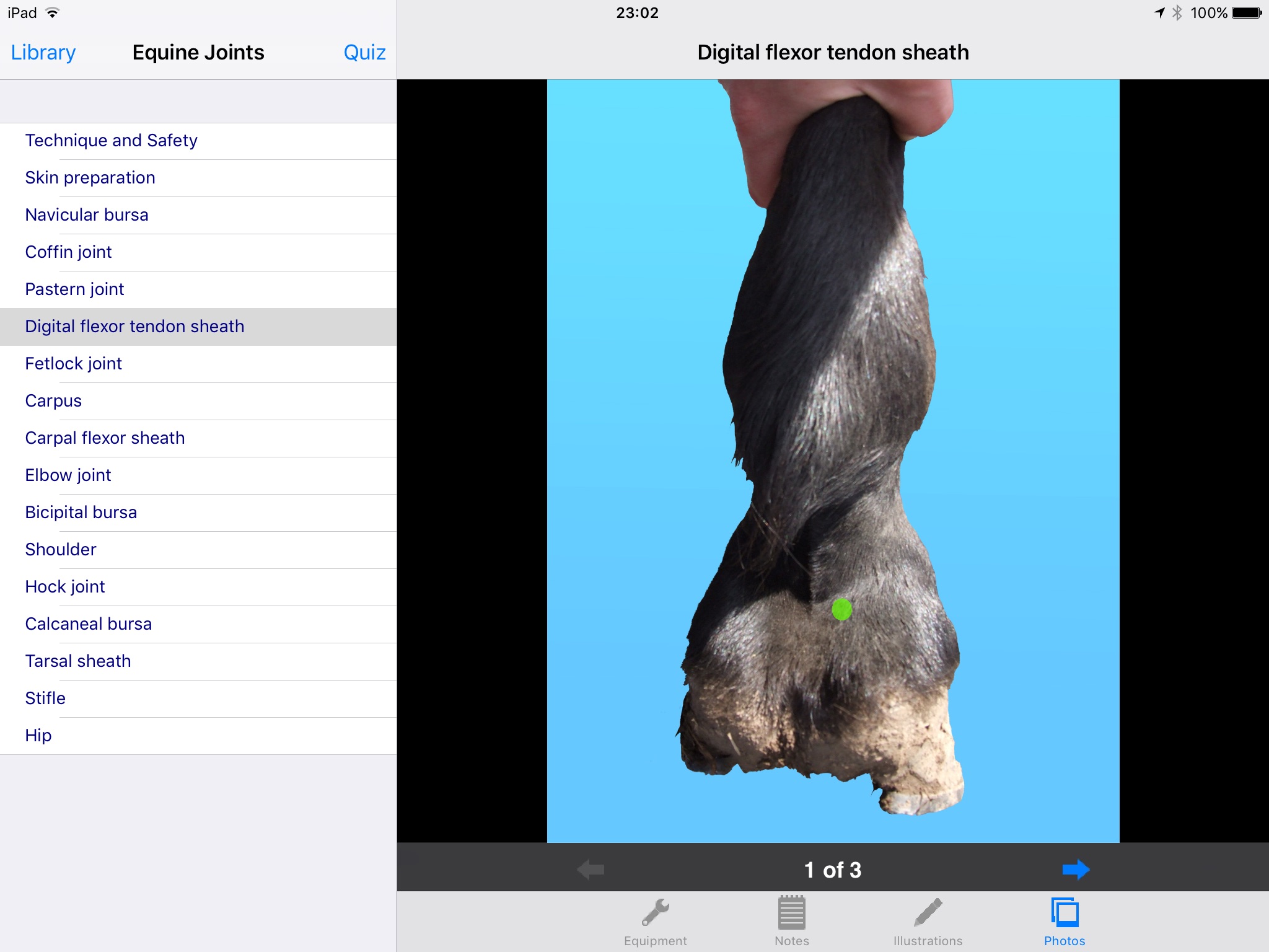 BEVA Equine Joint Injections screenshot 3