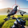 Spy Pigeon Bowhunting 3D