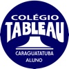 Aluno Tableau Caraguatatuba