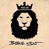 BIBLEin365 logo