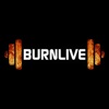 BurnLive Trainer