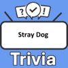 Stray Dog Trivia