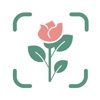 AI Plant Identifier Flower App