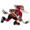 Tucson Roadrunners