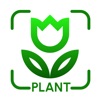 Plant Identifier:Picture Plant