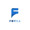 FOVEA LEARNING