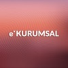 e-Kurumsal