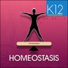 Homeostasis Biology