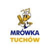 MRÓWKA TUCHÓW