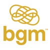 BGM Wealth Partners, LLC