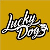 Lucky Dog Guitars