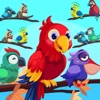 Bird Sort Puzzle-Pop Sort Game