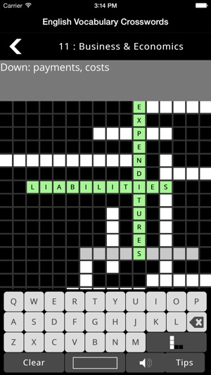 English Vocabulary Crosswords(圖4)-速報App