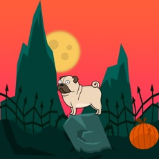 Activities of Pug Horror History