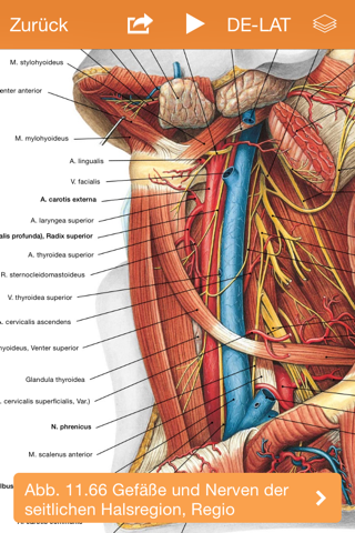 Sobotta Anatomy screenshot 4