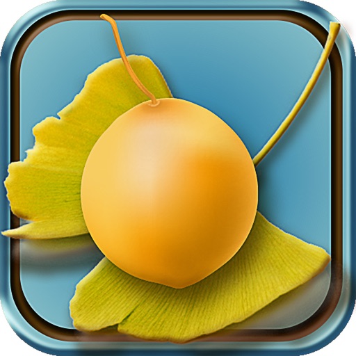 銀杏的果實：日本文學名著《中文版》 iOS App