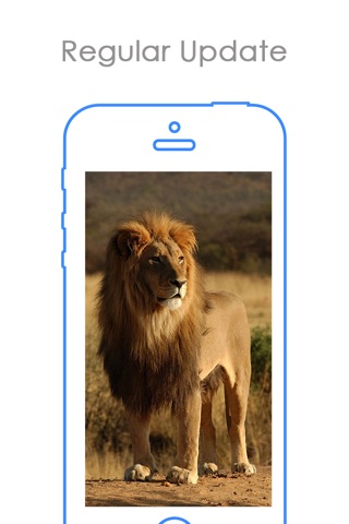Lion Wallpapers HD | Great Roar King's Background screenshot 3