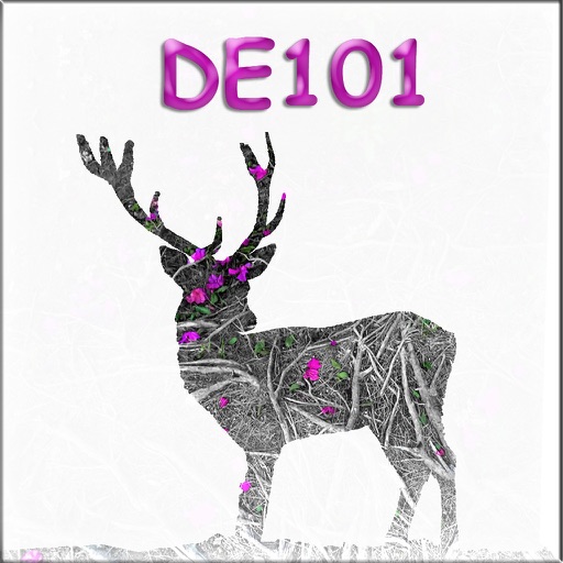 DE101