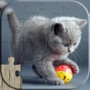 Cat Puzzles for Kids - Relaxing photo picture jigsaw puzzles for kids and adults