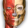 Anatomy Learning - 3D Atlas