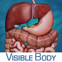 Digestive Anatomy Atlas: Essential Reference for Students and Healthcare Professionals apk