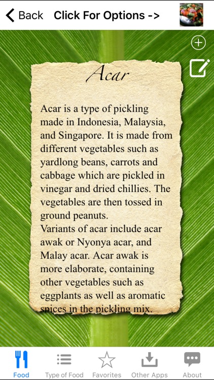 Indonesian Food