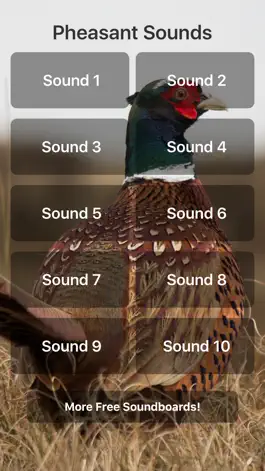 Game screenshot Pheasant Sounds mod apk