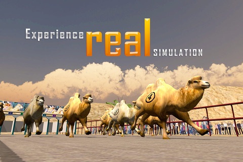 Camel Racing Simulator 3D - Real derby sport simulation game screenshot 2