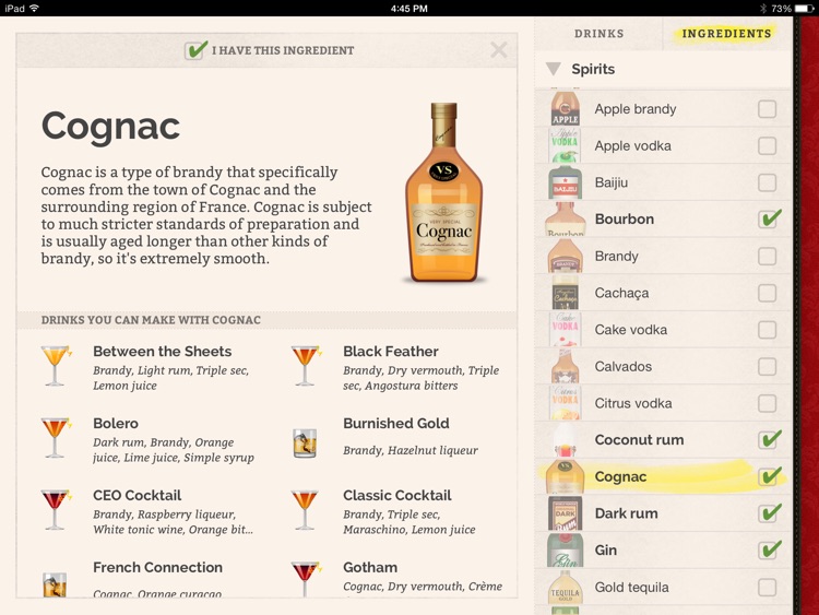Cocktail Party HD screenshot-4