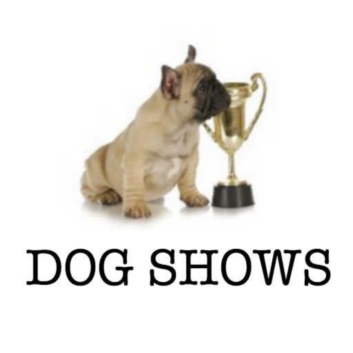 Dog Shows