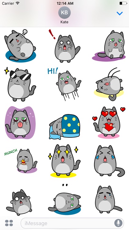 FAt CAt Animated Stickers screenshot-4
