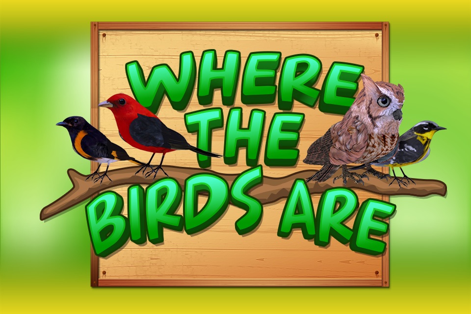 Where The Birds Are screenshot 2