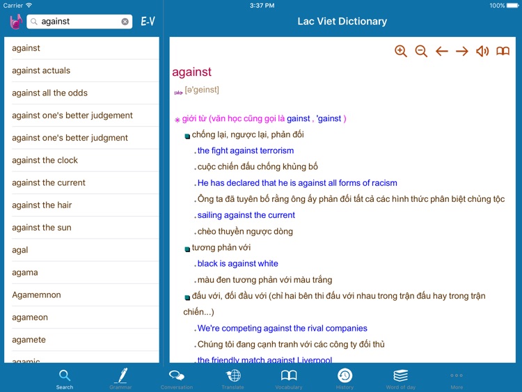 Lac Viet Dictionary for iPad