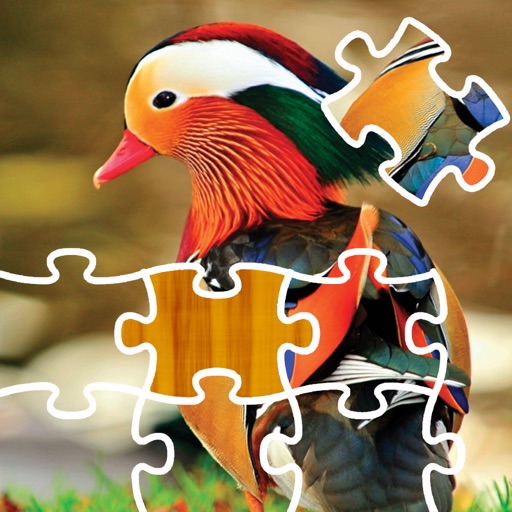 Puzzle Birds