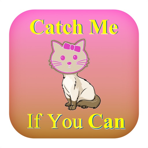 Catch stop. Игра Pets Cats. Игра с милыми котятами. Милые рисунки котиков. Картинки для наклеек котики.