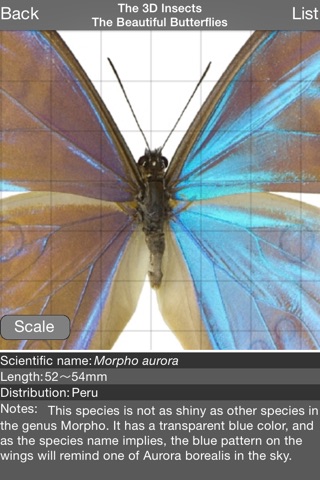The 3D Insects II screenshot 4
