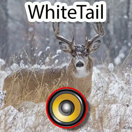 Real Whitetail Hunting Calls & Sounds - Deer Читы