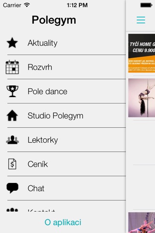 Polegym screenshot 3