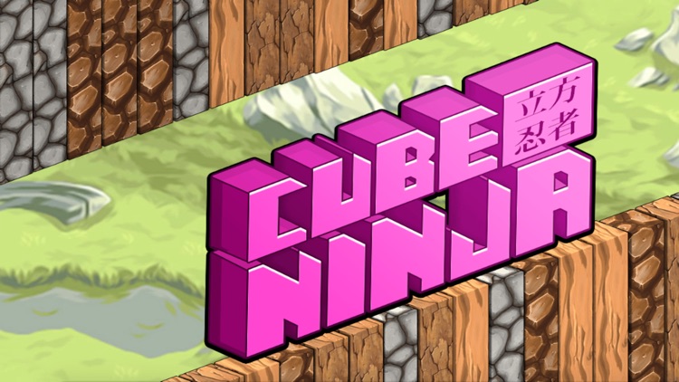 Cube Ninja