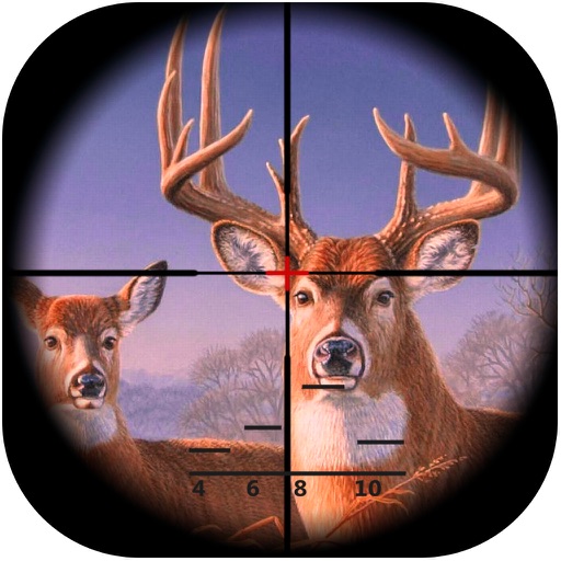 Blitz Safari Hunting- Wild Animals Shooting 3d