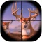 Blitz Safari Hunting- Wild Animals Shooting 3d
