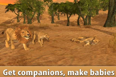 Lion Simulator: Wild African Animal screenshot 2
