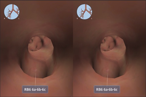 Anatomyou VR | Human Anatomy screenshot 2