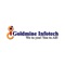 Goldmine Infotech Pvt Ltd one of the fastest growing company providing end to end IT solutions, was officially launched in the month of March 2000