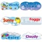 Identify Weather application teaches to identify different kind of weather[cloudy,foggy,windy,sunny,stormy,rainy,snowy]with various easy learning method
