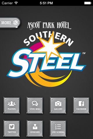 Steel Netball screenshot 2