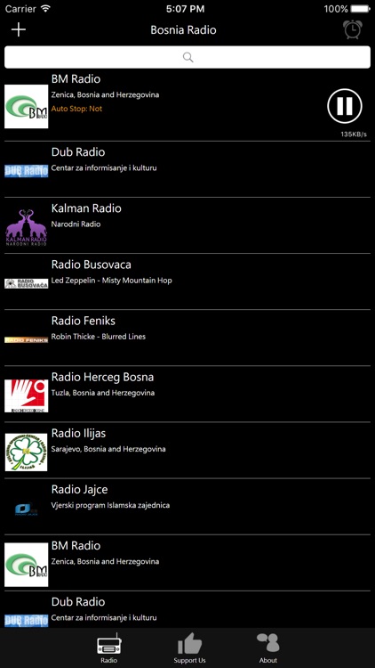 Bosnian Radio