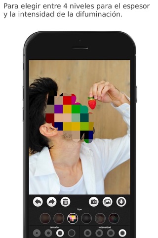 Blur & Mosaic  [plus] screenshot 3