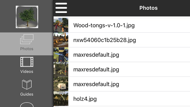 Mega Game - Woodcutter Simulator 2013 Version